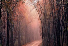 快船大胜猛龙，重返西部前四