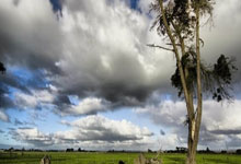 足球界世界大事揭晓，球员备赛加紧