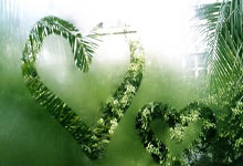 阿尔梅里亚再次告捷，赛季前景乐观